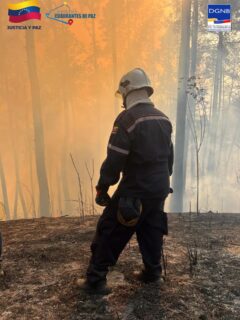 🕒 ¡LABORES SIN DESCANSO EN LA ARC!

Desde las primeras horas de la mañana, nuestros equipos de respuesta se mantienen en combate activo contra el incendio de vegetación en el Km 5 de la Autopista Regional del Centro.

Bajo el mando unificado del Primer Gral. (B) Dr. Juan Carlos González Rodríguez Director General Nacional de Bomberos y el Gral. (B) Germán Gutiérrez, Comandante de Bomberos Forestales Inparques, las fuerzas bomberiles continúan desplegadas ejecutando maniobras estratégicas.

La prioridad sigue siendo el resguardo de los locales comerciales y puestos de comida de la zona.

¡Seguimos en pie de lucha para garantizar la seguridad de todos! 🚒🔥

#BomberosVenezuela #Inparques #ARC #Actualizacion #SeguridadCiudadana NoBajamosLaGuardia