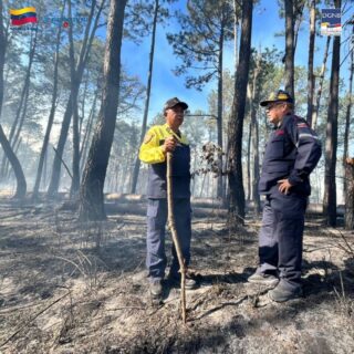 💪 ¡UN SOLO EQUIPO EN PRIMERA LÍNEA!

Desde el Km 5 de la Autopista Regional del Centro (ARC), la Dirección General Nacional de Bomberos y los Bomberos Forestales de Inparques ejecutan un despliegue conjunto para enfrentar un incendio de vegetación de rápido avance.

Esta operación de alto impacto cuenta con la supervisión directa del Primer General (B) Dr. Juan Carlos González Rodríguez (Director General Nacional) y el General (B) Germán Gutiérrez, Primer Comandante de Bomberos Forestales.

Nuestras comisiones realizan maniobras de ataque directo para frenar la propagación hacia los puestos de comida y locales comerciales del sector.

 ¡No descansaremos hasta eliminar el riesgo y garantizar la seguridad de nuestra gente! 🚒🔥

#BomberosVenezuela #Inparques #SeguridadCiudadana #IncendioForestal #UnionYFuerza