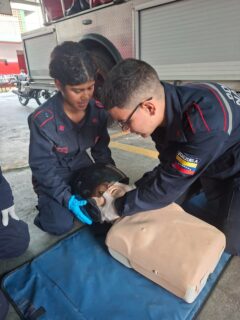 ¡Capacitación constante para una respuesta de excelencia! 🚒🚑

La excelencia en el servicio es nuestra mayor prioridad. Bajo las directrices de la Dirección General Nacional de Bomberos, en nuestra institución mantenemos un compromiso inquebrantable con la formación continua y el fortalecimiento de las capacidades de nuestro personal.

En la Subestación “La Trinidad”, dimos continuidad a este proceso de actualización profesional mediante un importante conversatorio enfocado en el Manejo del Trauma en Atención Prehospitalaria (A.P.H.).

La jornada estuvo dirigida a los valiosos hombres y mujeres de nuestra Sección de Guardia (B), quienes bajo la dirección estratégica de nuestra Capitana Eddith Bazán, siguen elevando sus estándares de respuesta. La instrucción fue impartida por el Sargento Mayor Álvaro Donado, cuya vasta trayectoria y experiencia técnica brindaron herramientas clave para perfeccionar nuestras maniobras de rescate y atención en situaciones críticas.

Nuestro objetivo es claro: contar con un personal altamente capacitado, disciplinado y listo para actuar con precisión técnica ante cada llamado de auxilio de nuestra comunidad. ¡Seguimos trabajando por la vida, con profesionalismo y heroísmo!

🛡️ Compromiso, disciplina y vocación.

#Bomberos #AtenciónPrehospitalaria #CapacitaciónContinua #SeguridadCiudadana